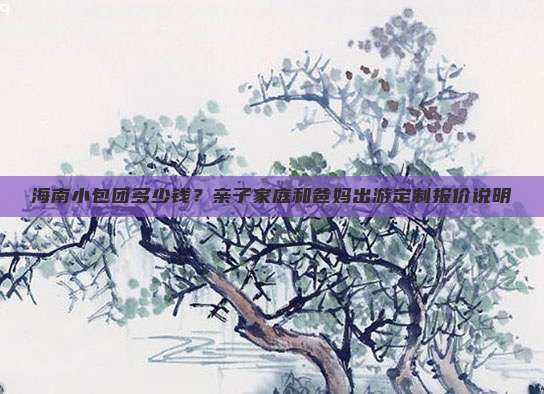 海南小包团多少钱？亲子家庭和爸妈出游定制报价说明