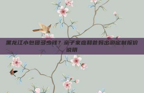 黑龙江小包团多少钱？亲子家庭和爸妈出游定制报价说明