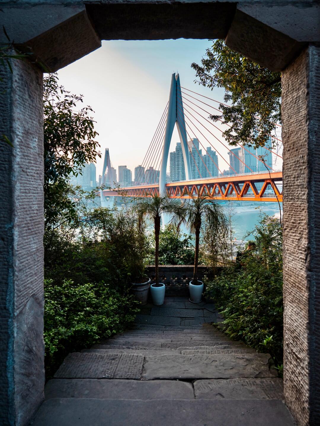 2024重庆旅游学校热门专业曝光！98%就业率引关注