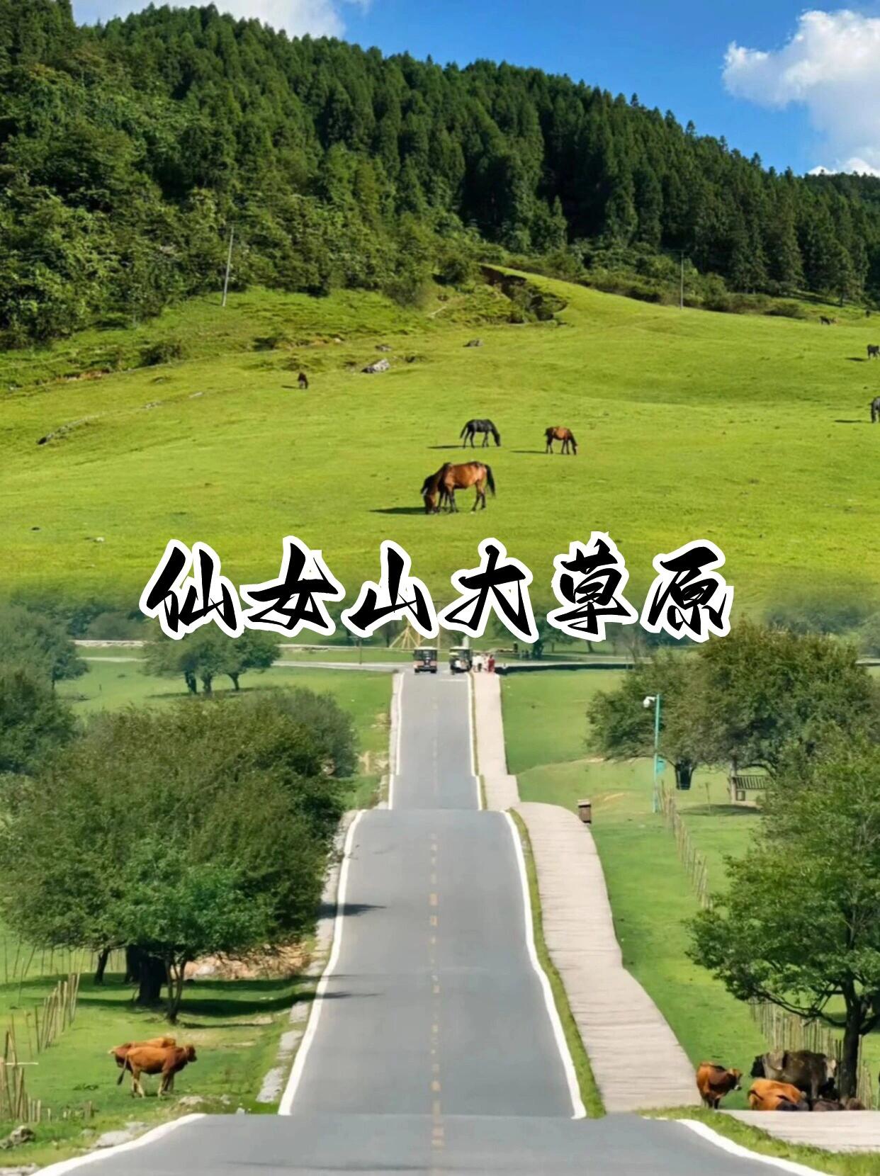 重庆亲子游必去！10大遛娃胜地让孩子嗨玩一整天