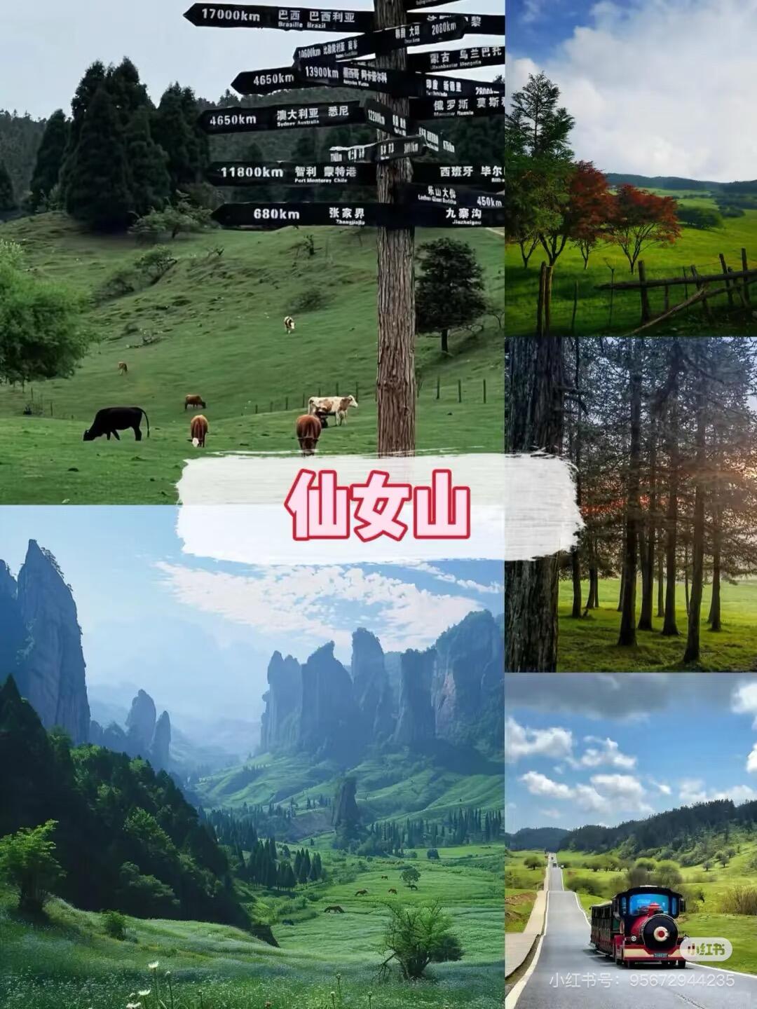 重庆十大网红景点：洪崖洞磁器口必打卡，第5个超冷门！