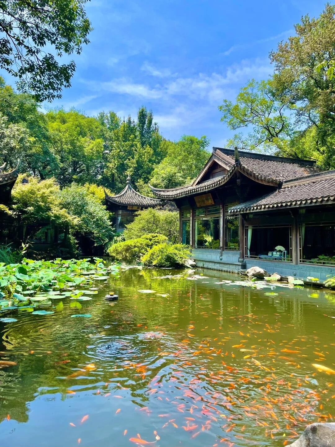 杭州旅游必玩10大景点！西湖灵隐寺雷峰塔全攻略，本地人私藏玩法曝光
