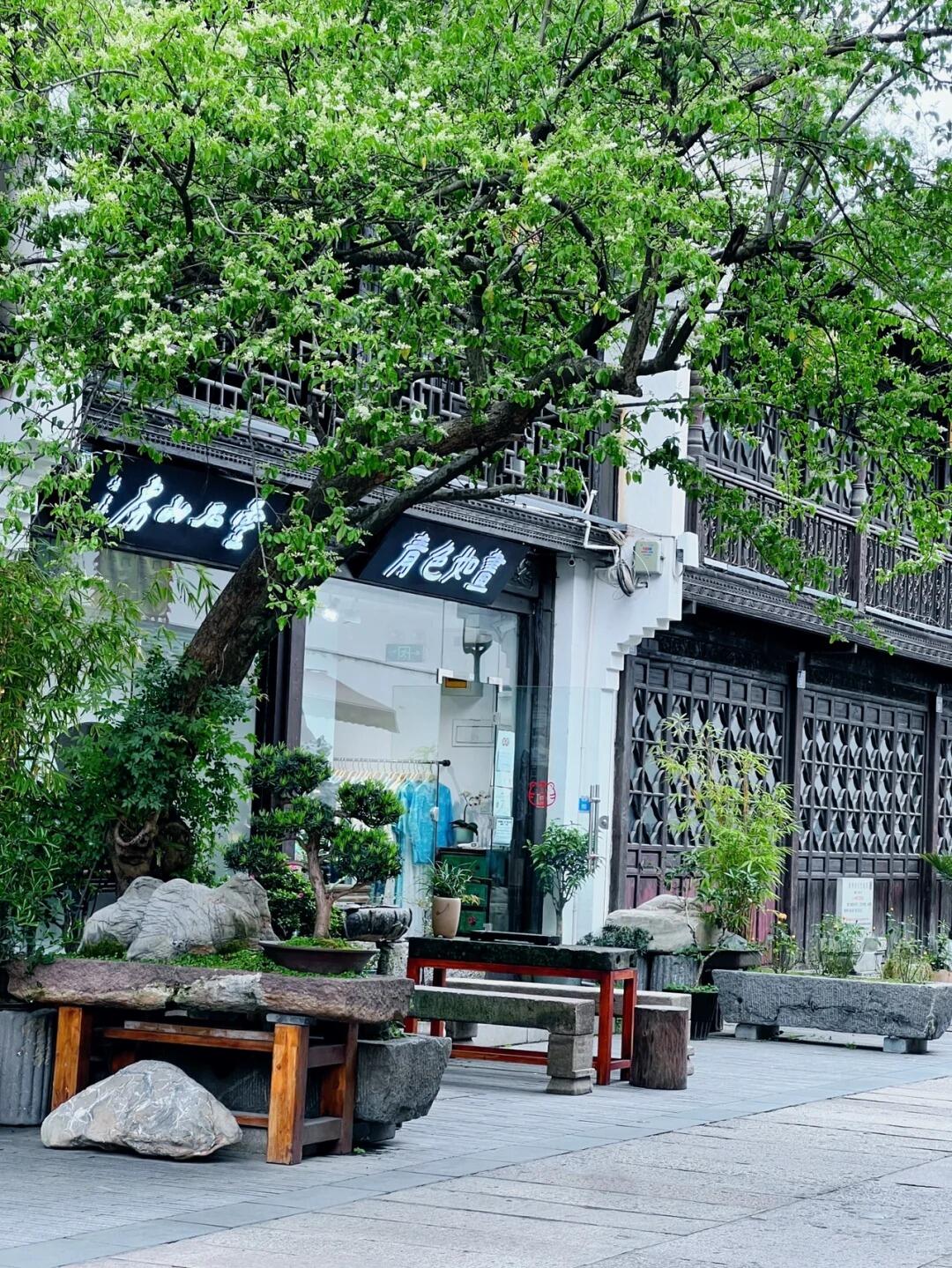 2024千岛湖最全攻略：必玩景点+隐藏玩法，省钱避坑一篇搞定！