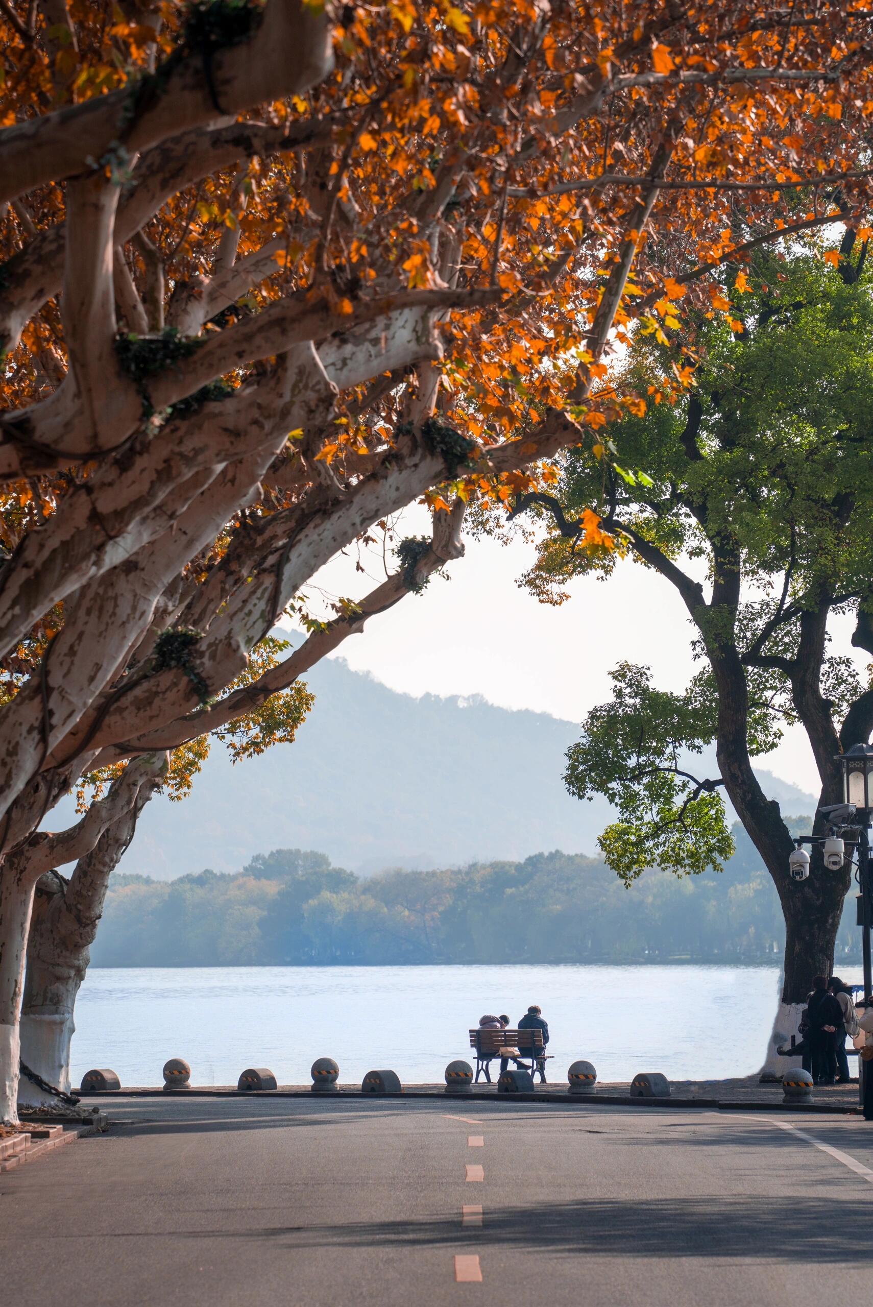 2024苏州旅游必看攻略！3天2夜玩转园林古镇+小众秘境，吃货打卡全收录