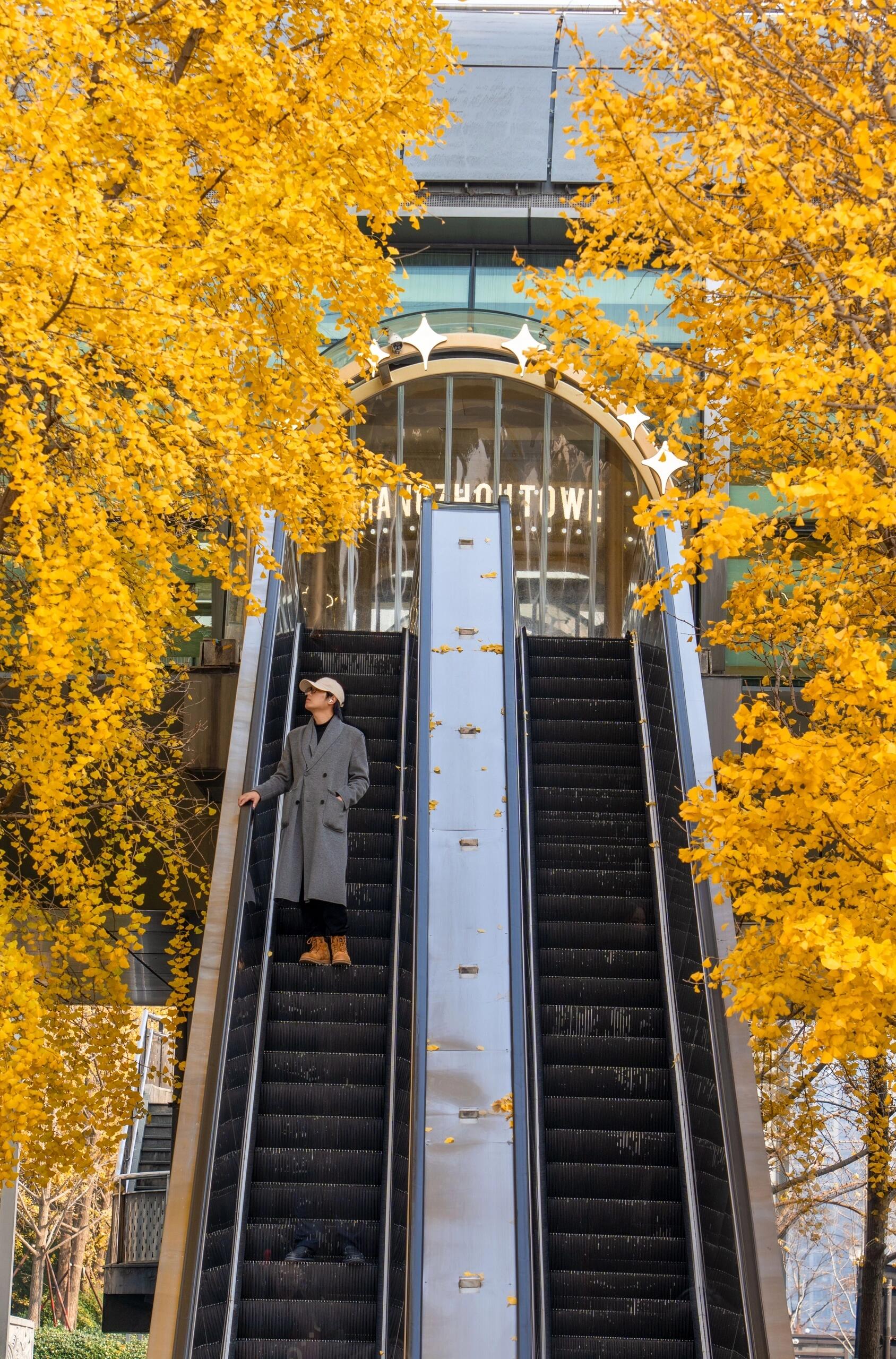 千岛湖必去10大景点攻略！私藏玩法+省钱路线，一篇全搞定