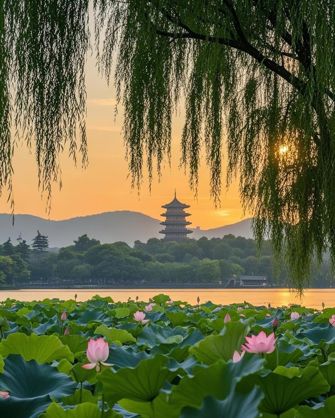 南浔古镇必去10大景点！私藏攻略+小众玩法，99%游客都错过了第5个！