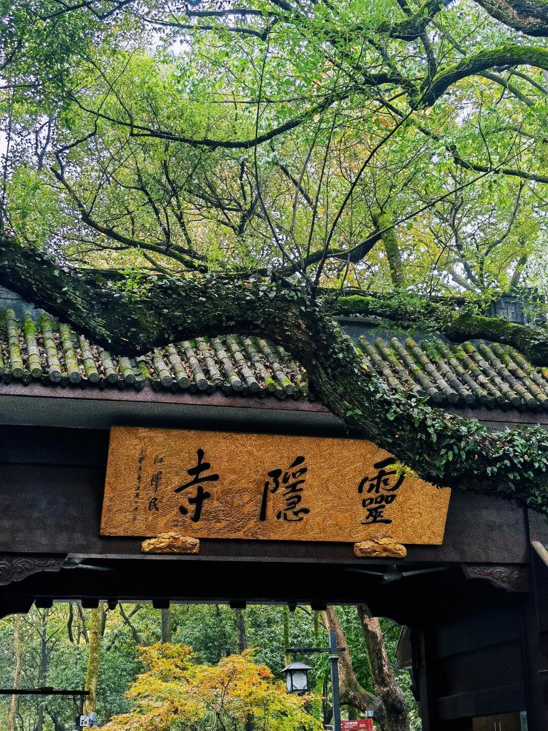 杭州旅游必去10大景点！本地人私藏的西湖秘境和美食攻略全曝光