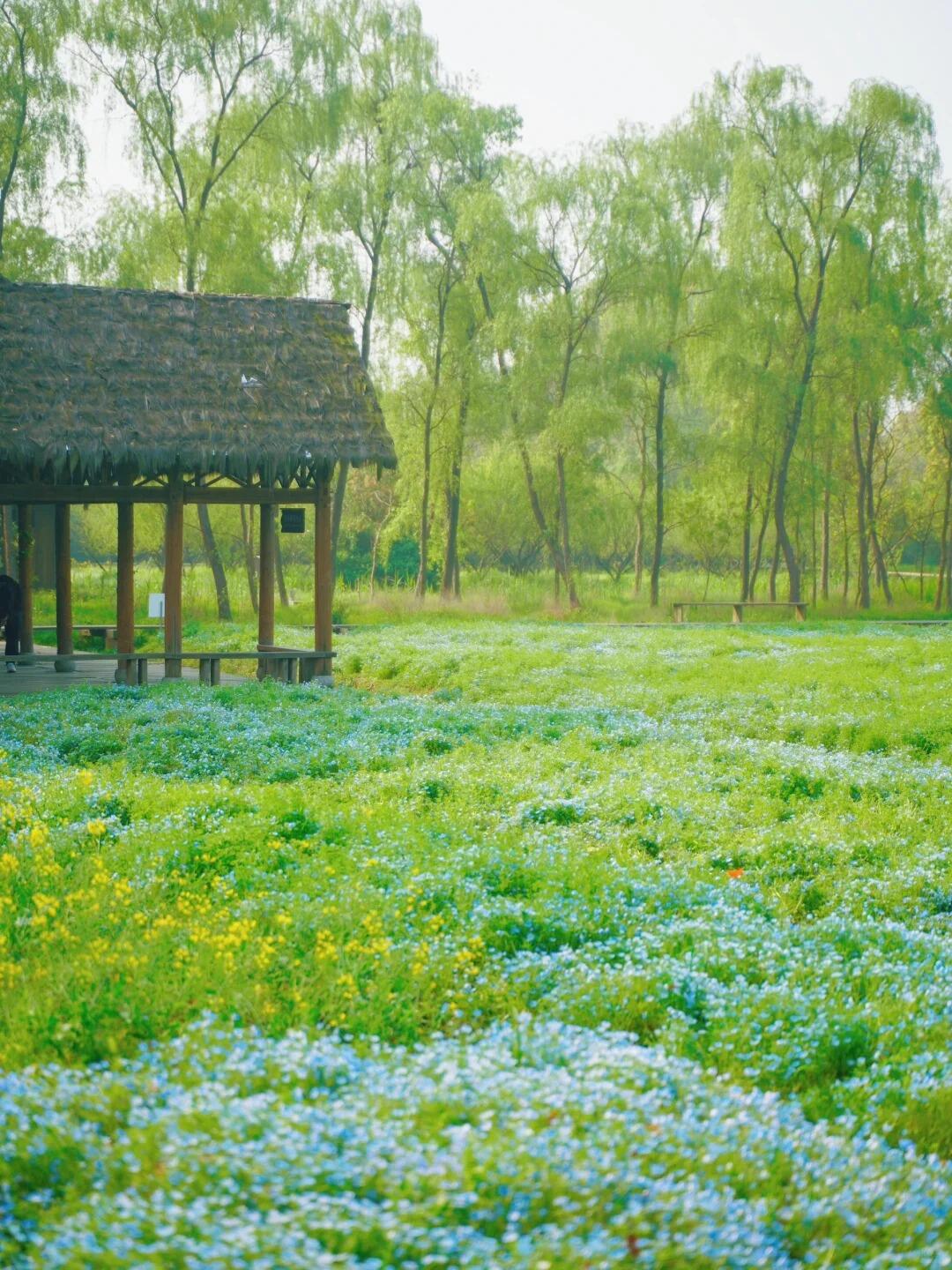 杭州必玩4大景点攻略！西湖灵隐寺上榜，第3个90%游客都错过！