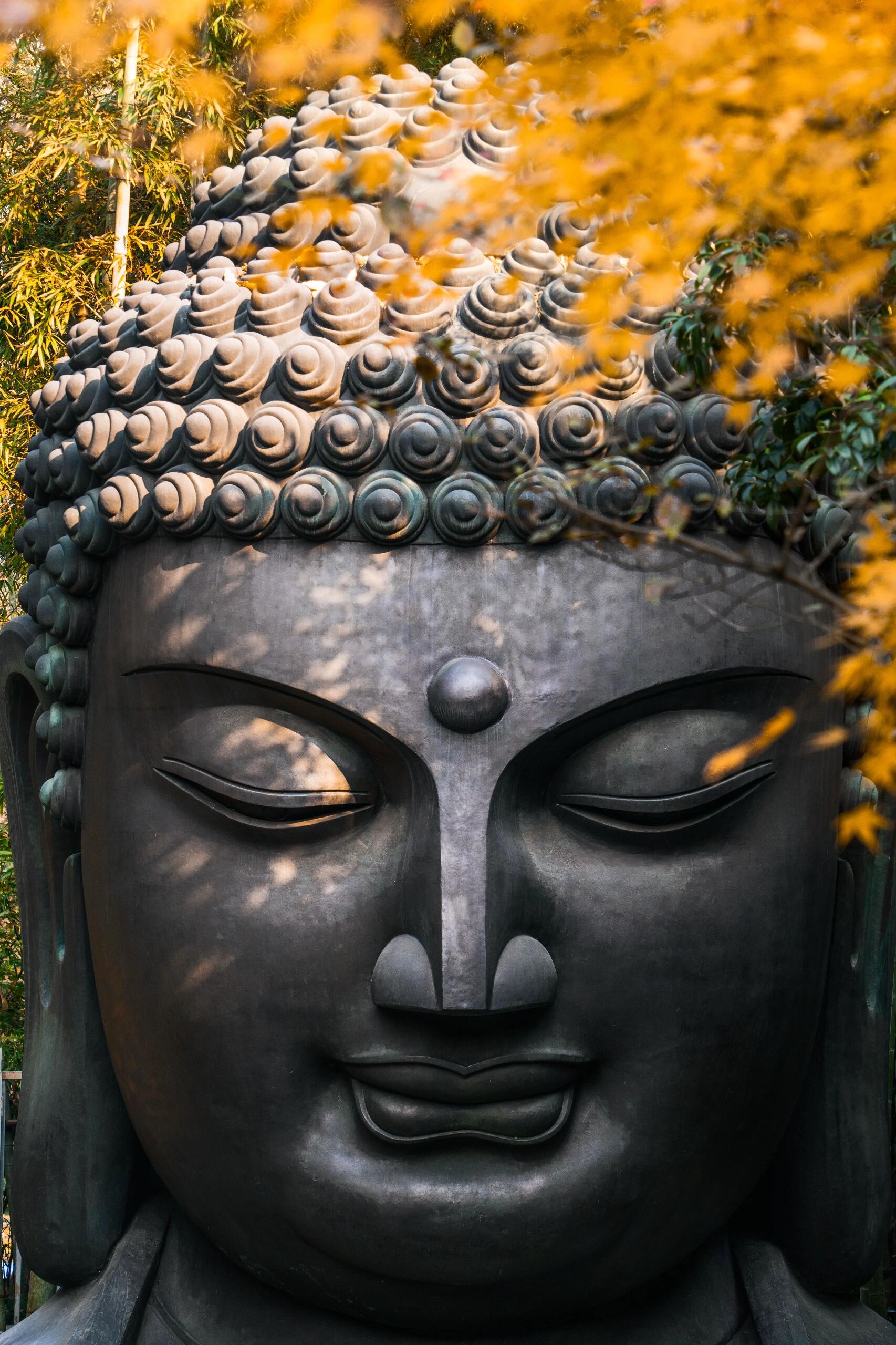 杭州6日游攻略：必打卡景点+美食地图，人均2000玩转天堂！