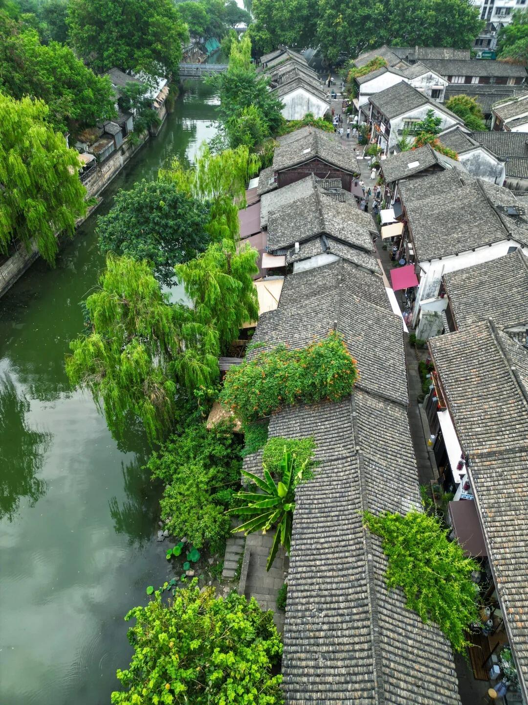 2024西塘旅游预算全攻略！省钱玩法+必打卡景点，人均低至300元！