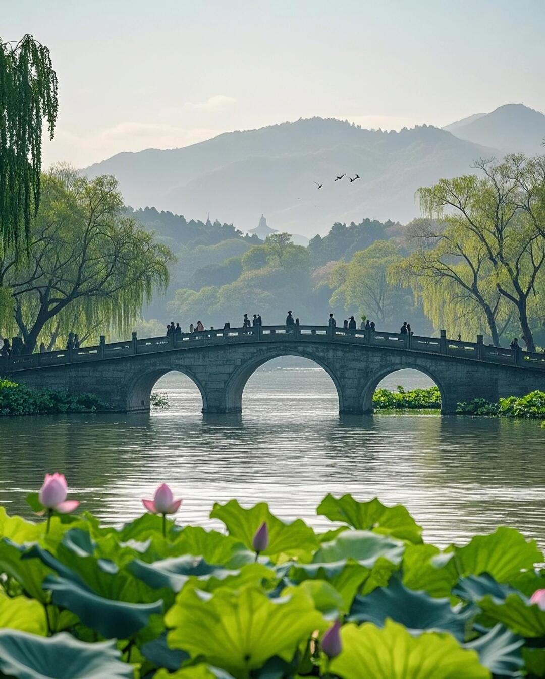 乌镇旅游规划师私藏攻略：解锁江南水乡隐藏玩法，省时省力玩转精华景点！