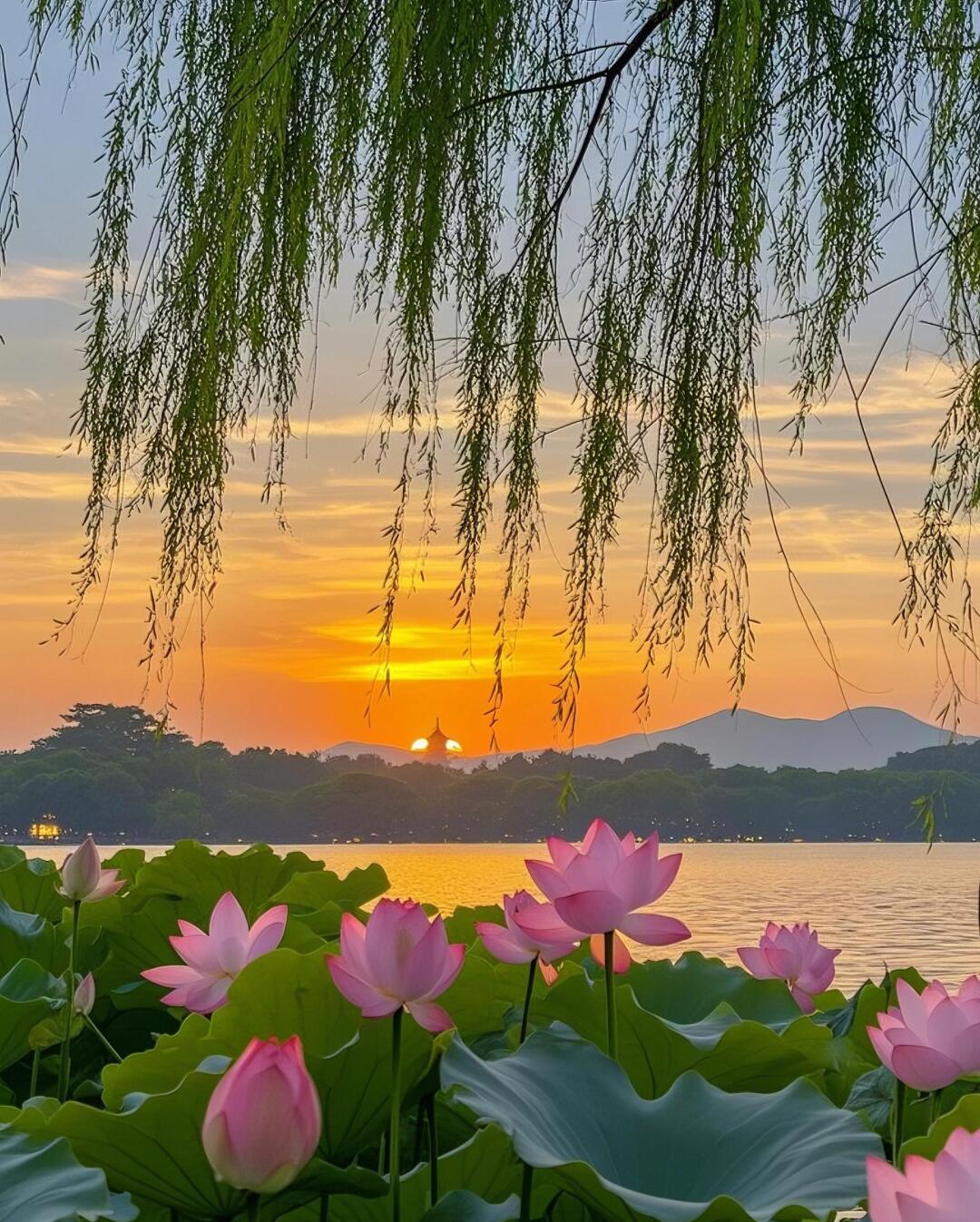 乌镇必玩10大景点！夜游西栅、坐摇橹船，错过这些等于白来！